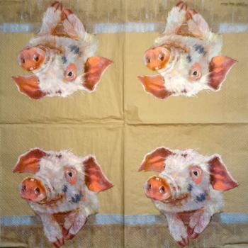 080 Pigs - 3-ply - Nouveau